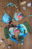 High Rise Bikini